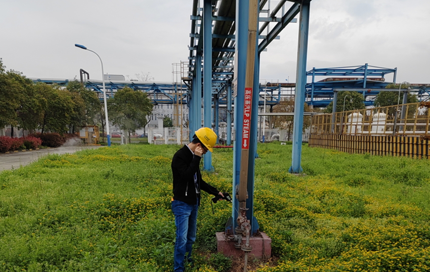 Steam System Service