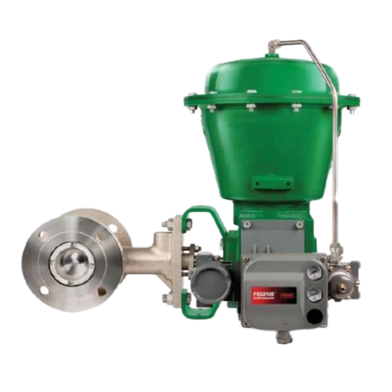 FISHER™ V250 Control Valve