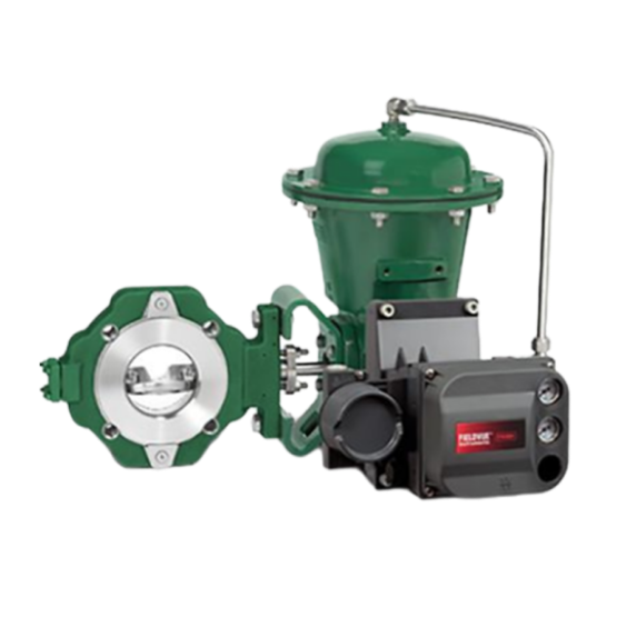 FISHER™ 8580 High Performance Butterfly Valve