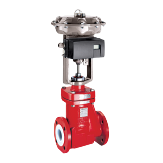 RICHTER Lined Globe Valves